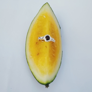 Processed with VSCO with av4 preset