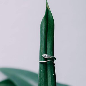 Snake Spinel
