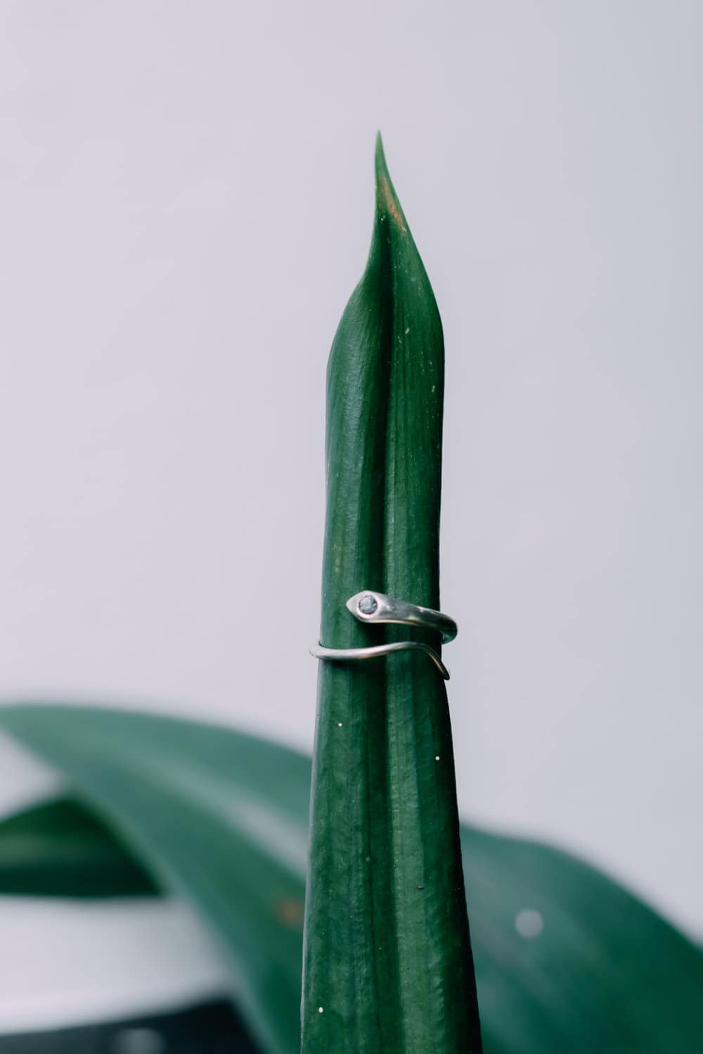 Snake Spinel