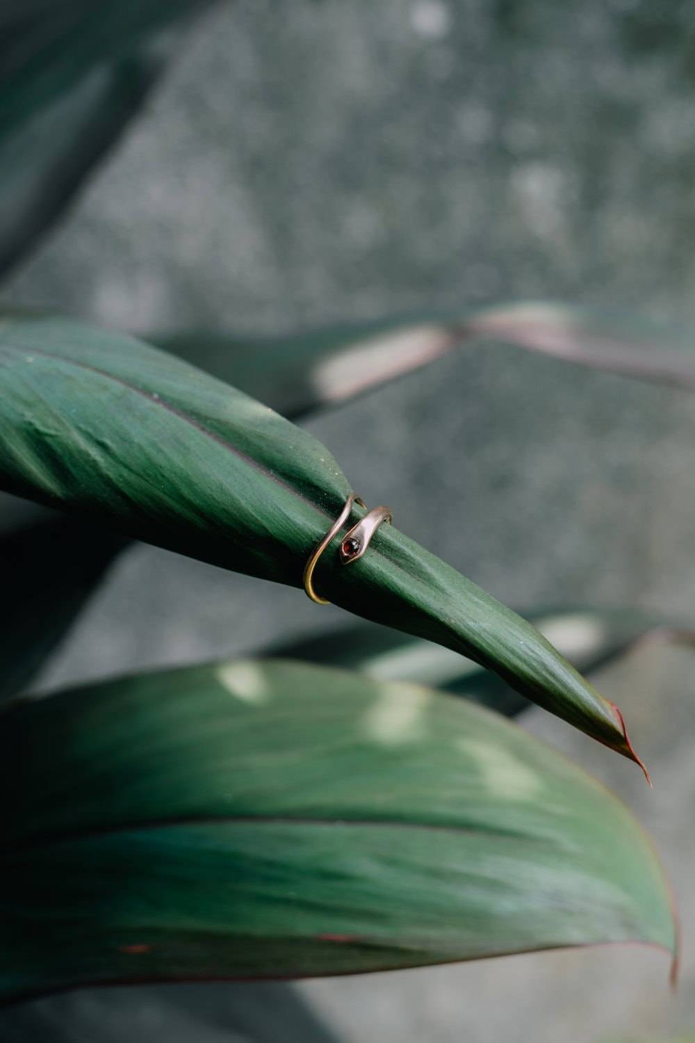Snake Spinel - Obrázek 4